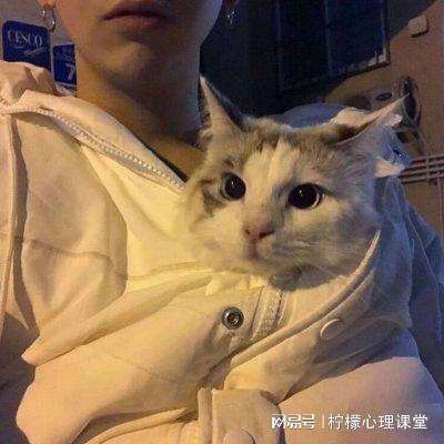 mobius最终幻想中文版下载
